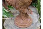 Cockerel (Sm/Rusty)