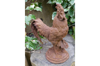 Cockerel (Sm/Rusty)