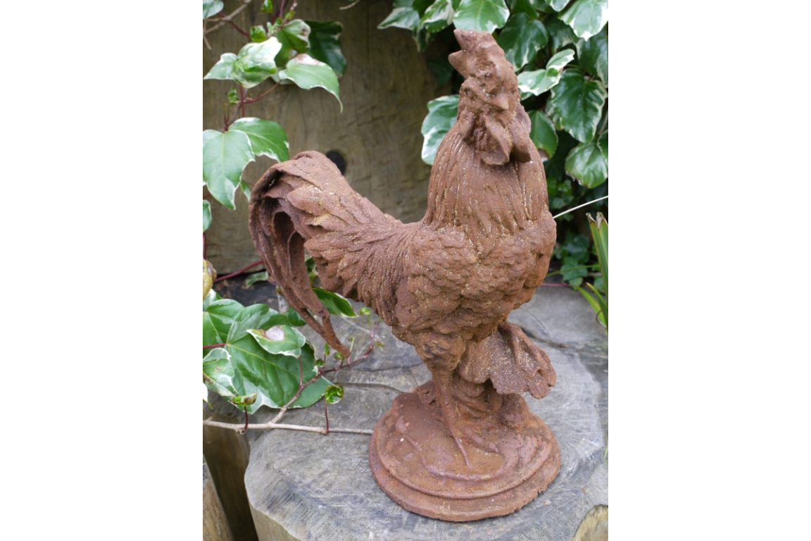 Cockerel (Sm/Rusty)