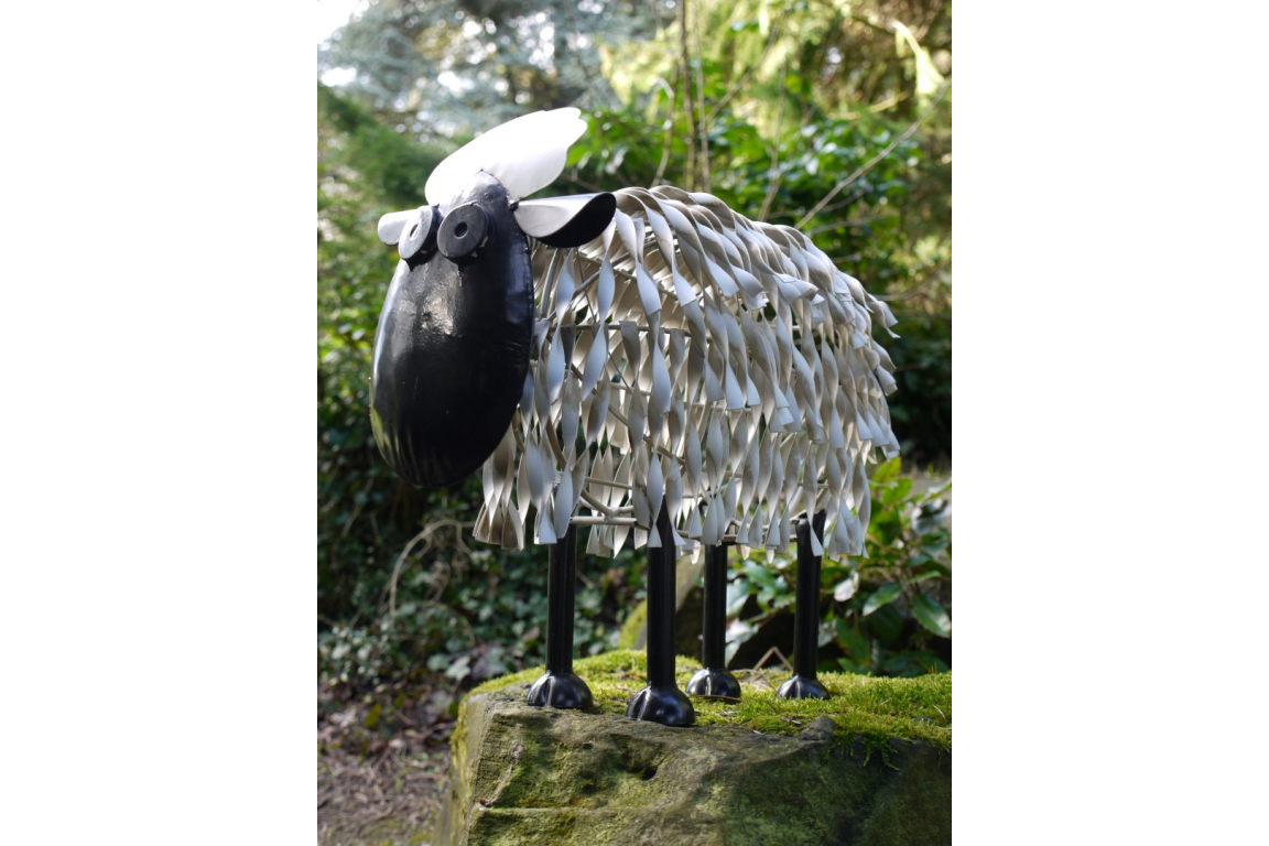 Sheep (Medium)