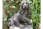 Dog (Resin)