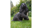 Dog (Resin)