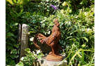 Cockerel (LG/Rusty) 2821