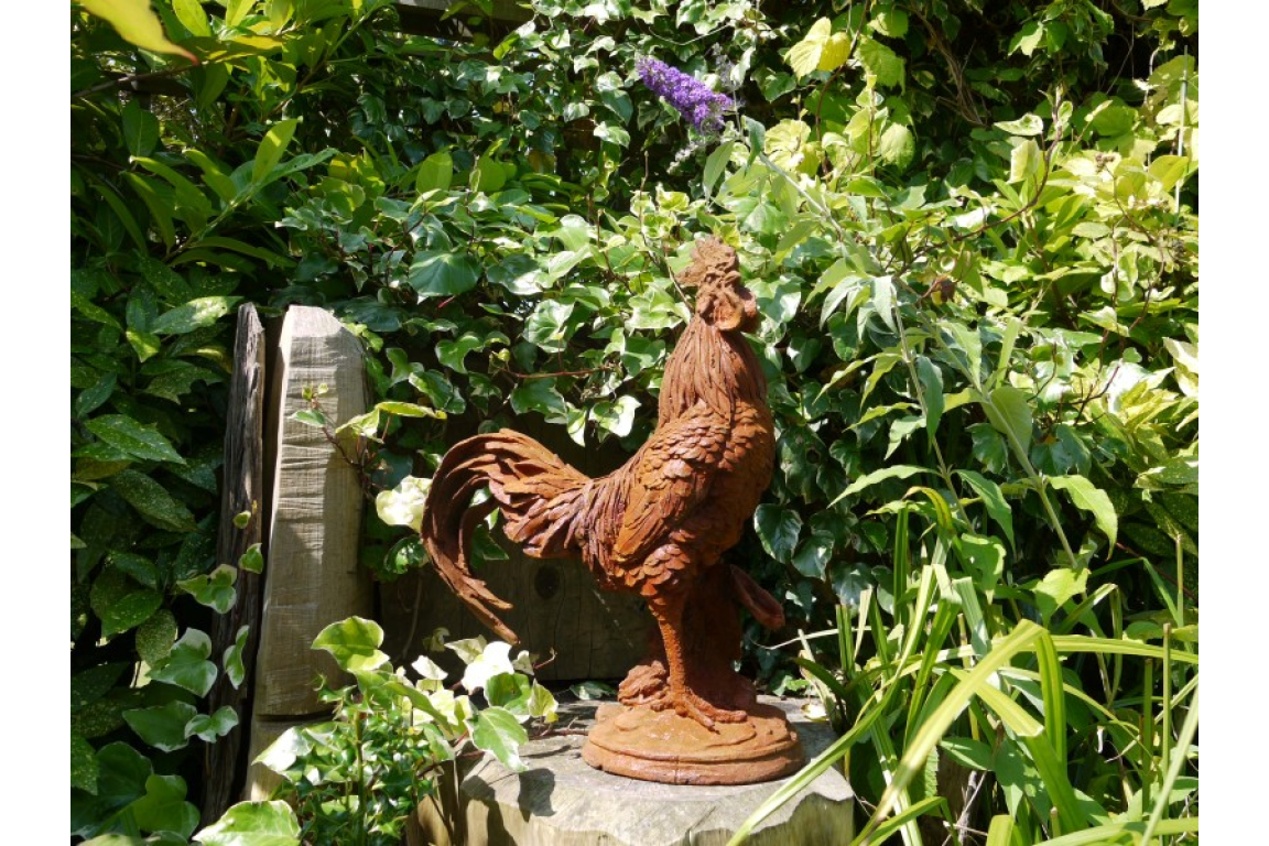 Cockerel (LG/Rusty) 2821