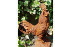 Cockerel (LG/Rusty) 2821