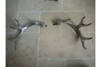 Silver Deer Head