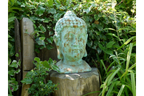 Buddha Head