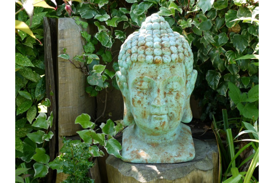 Buddha Head