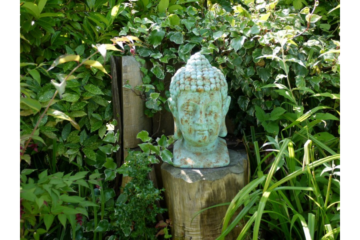 Buddha Head