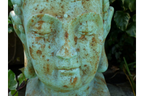 Buddha Head