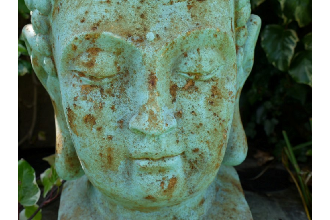 Buddha Head