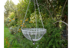 Hanging Basket