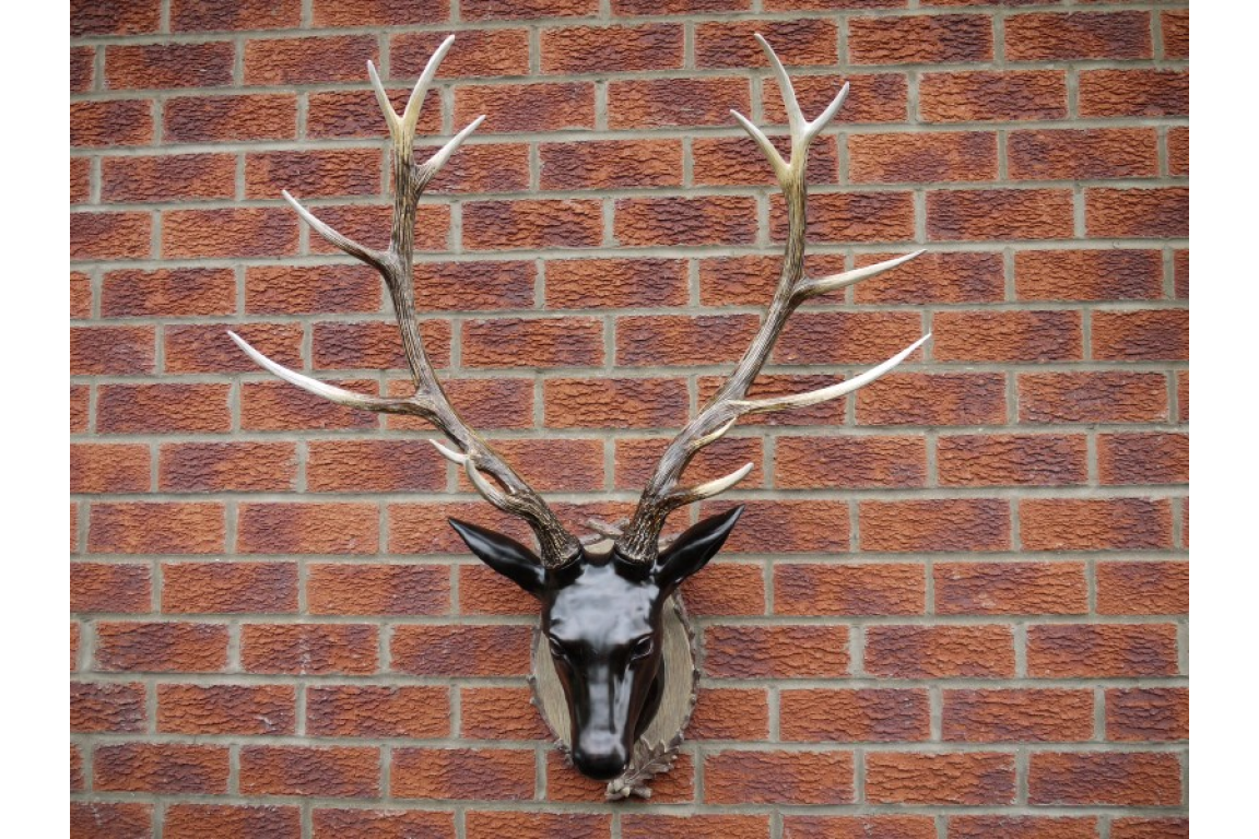 Stag Head - Large