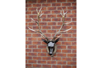 Stag Head - Large