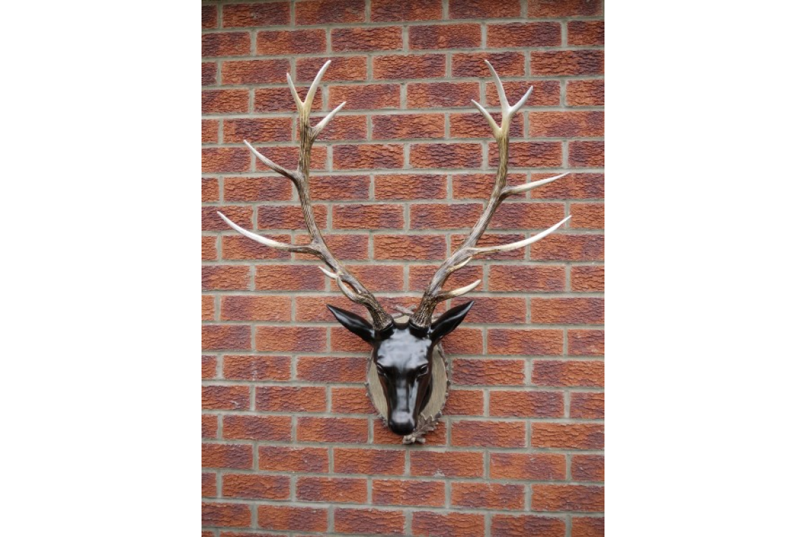 Stag Head - Large