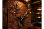 Stag Head - Large