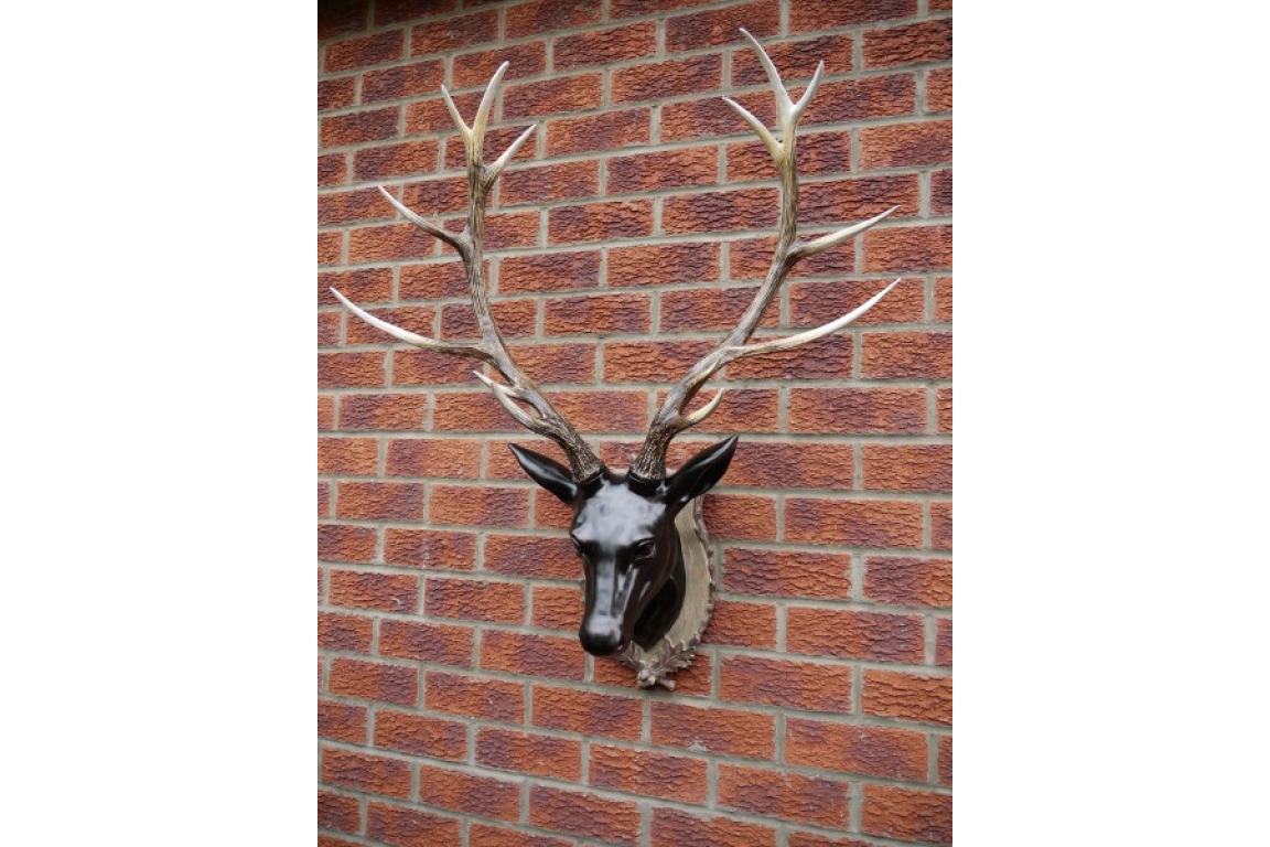 Stag Head - Large