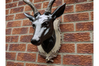 Stag Head - Large