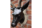 Stag Head - Large