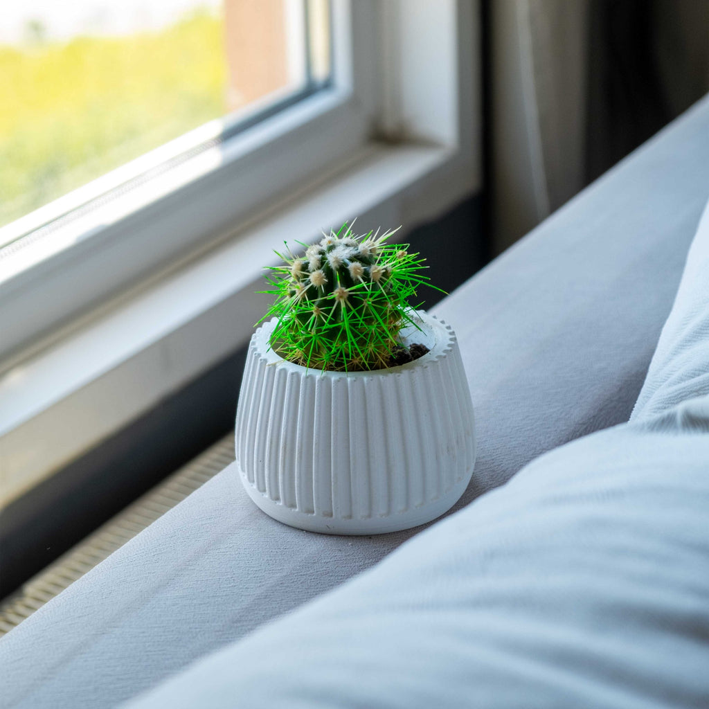 WHITE CONCRETE MUG POT