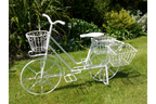 Lottie Bike Planter