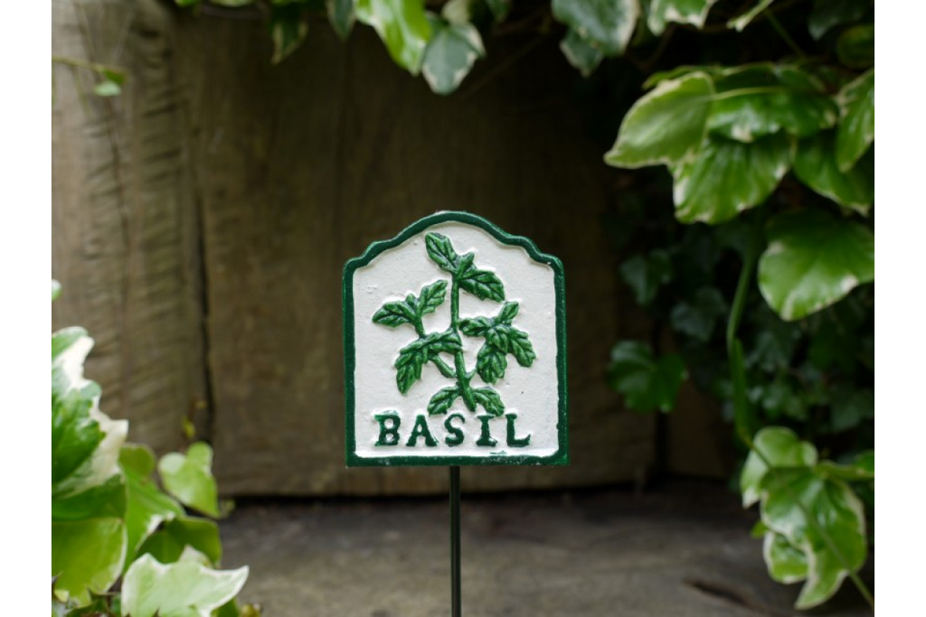 Herb Sign (Basil)