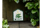 Herb Sign (Mint)