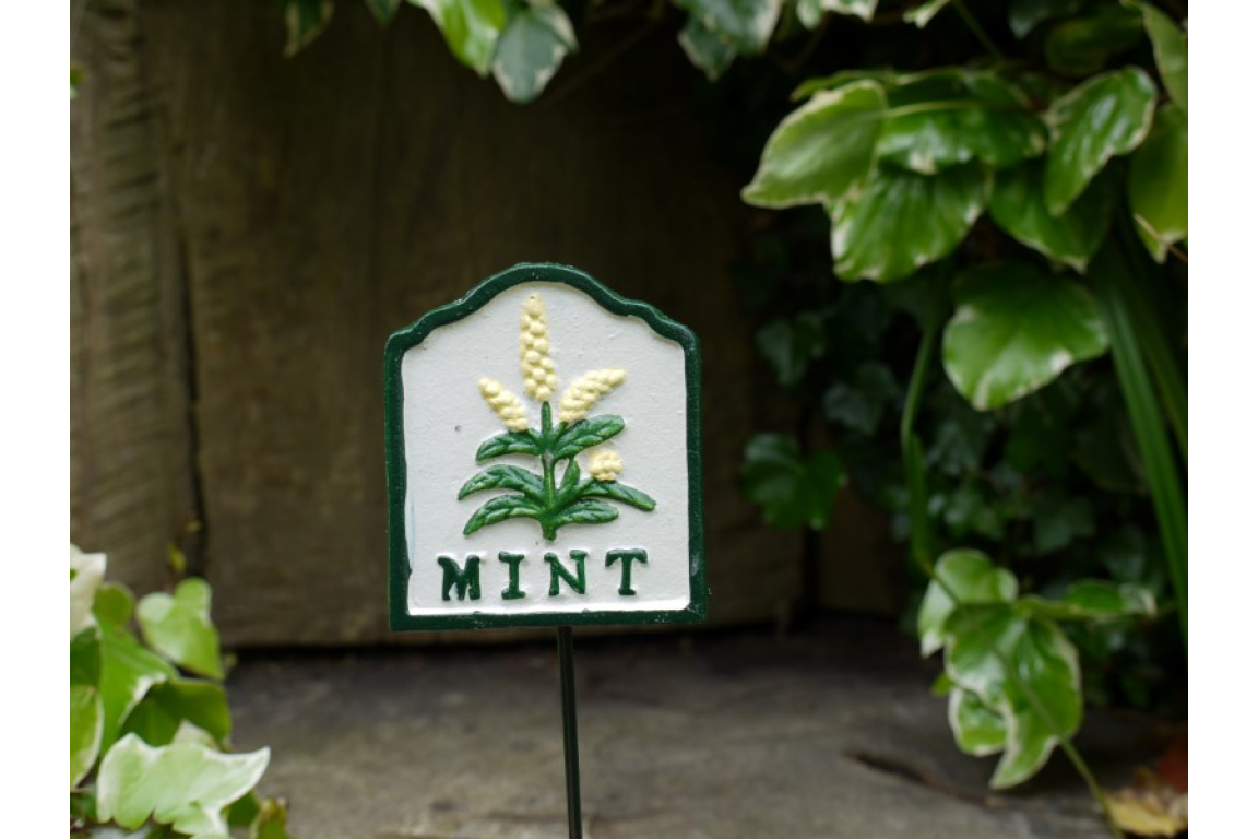 Herb Sign (Mint)