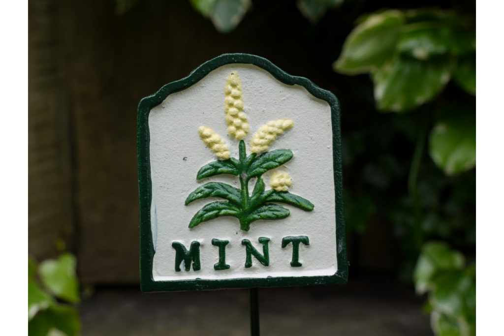 Herb Sign (Mint)