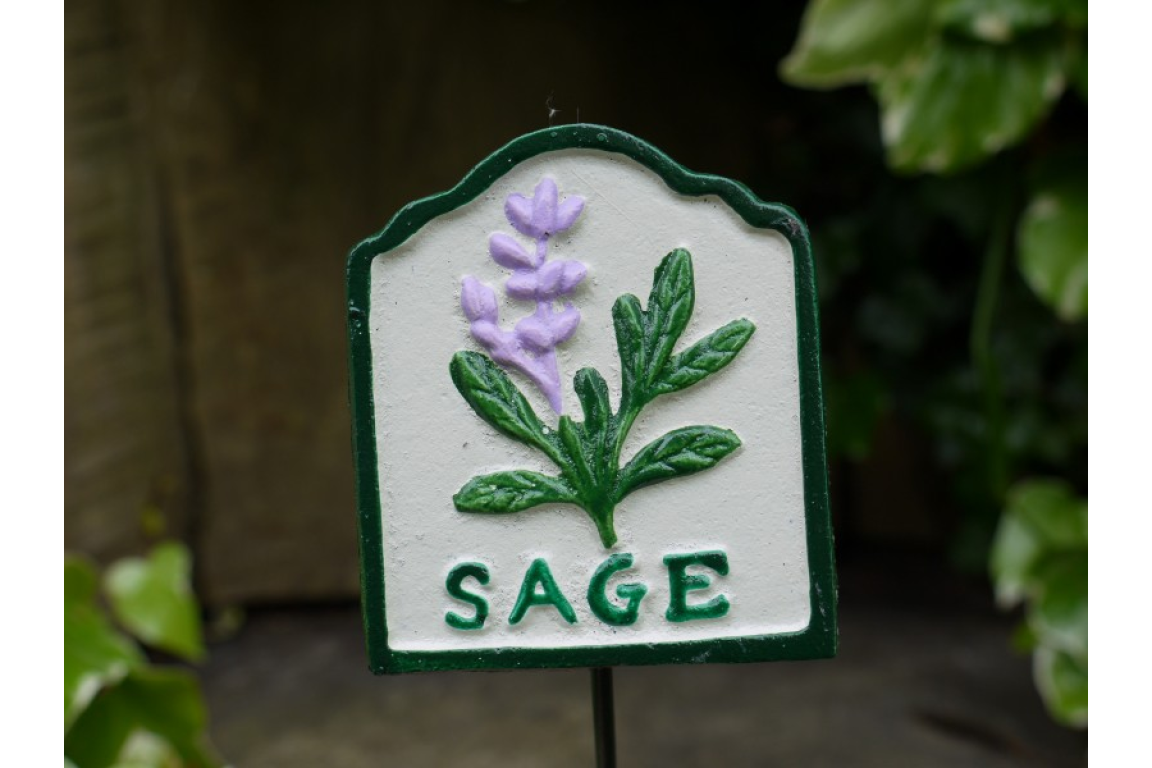 Herb Sign (Sage)