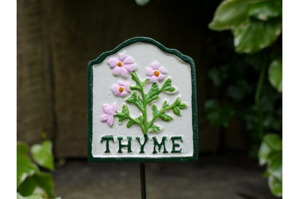 Herb Sign (Thyme)