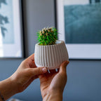 WHITE CONCRETE MUG POT Default Title