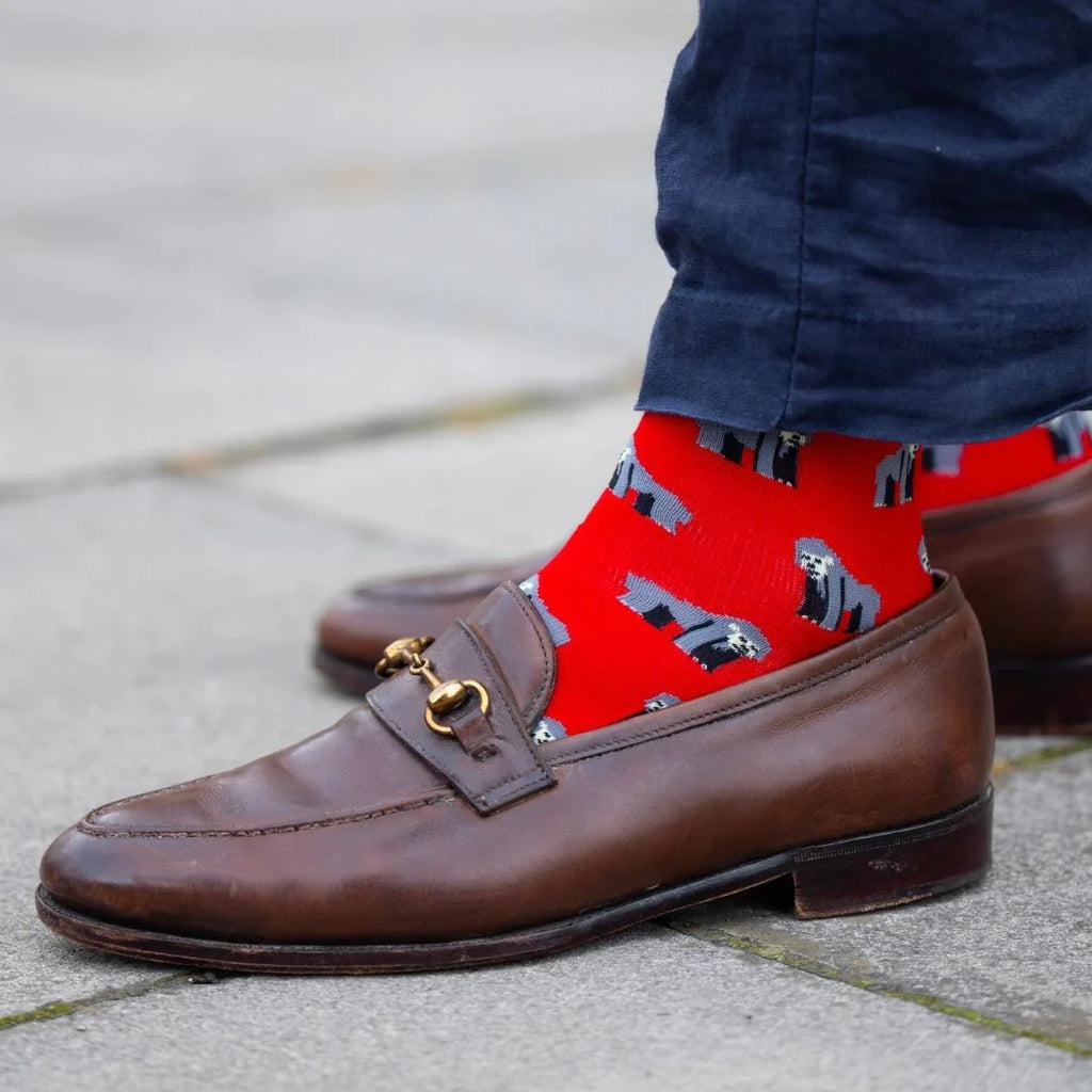 Zoo Sock Box - 4 Pairs of Bamboo Socks (His)