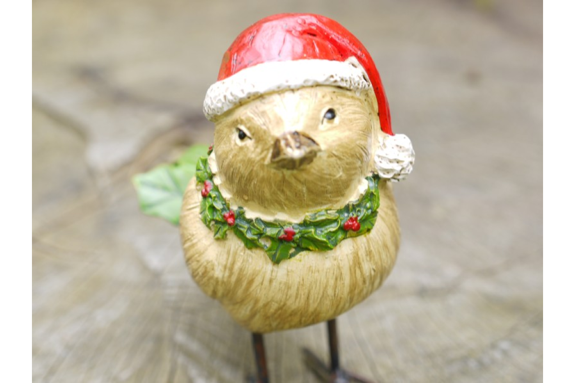 Christmas Bird