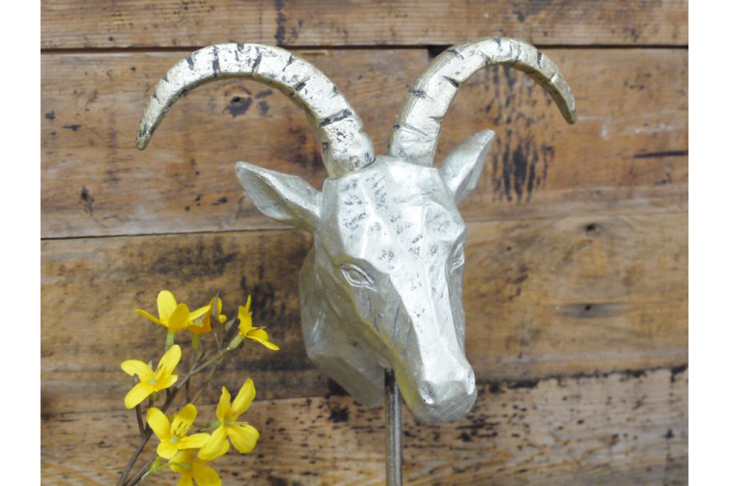 Gazelle Head
