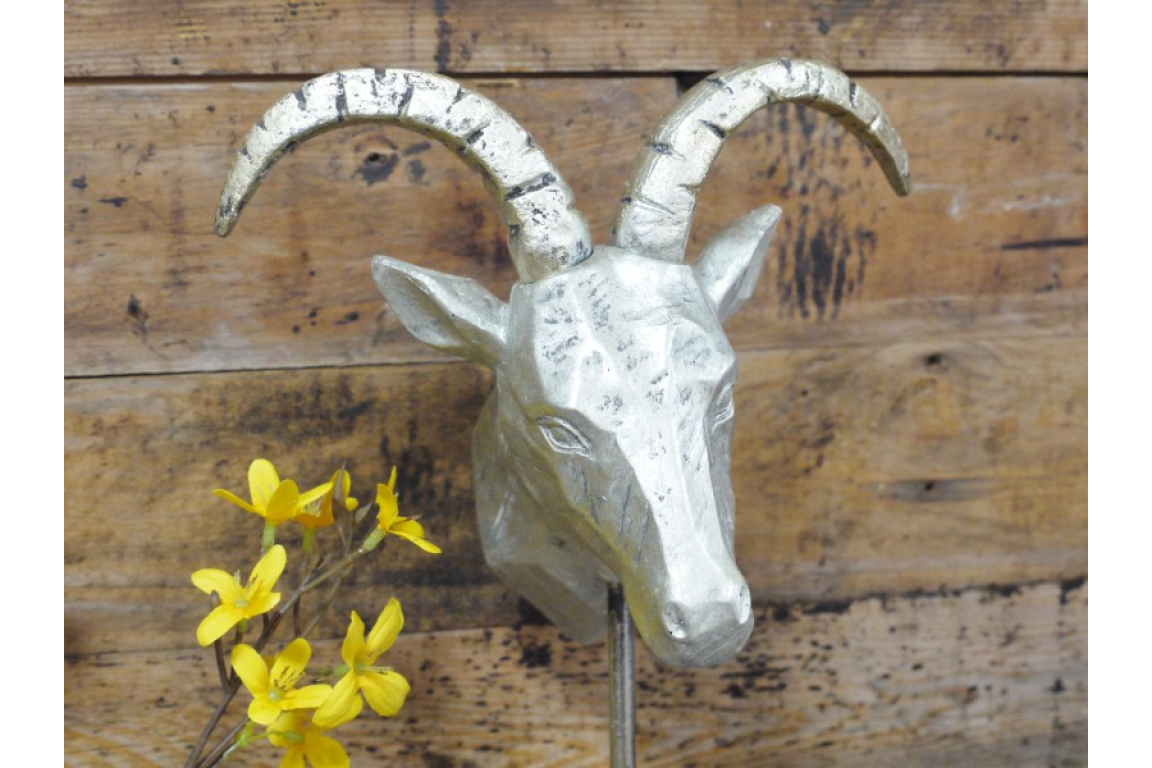 Gazelle Head