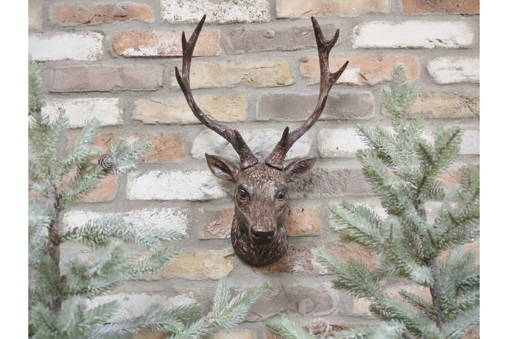 Stag Head