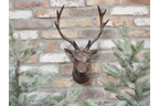 Stag Head