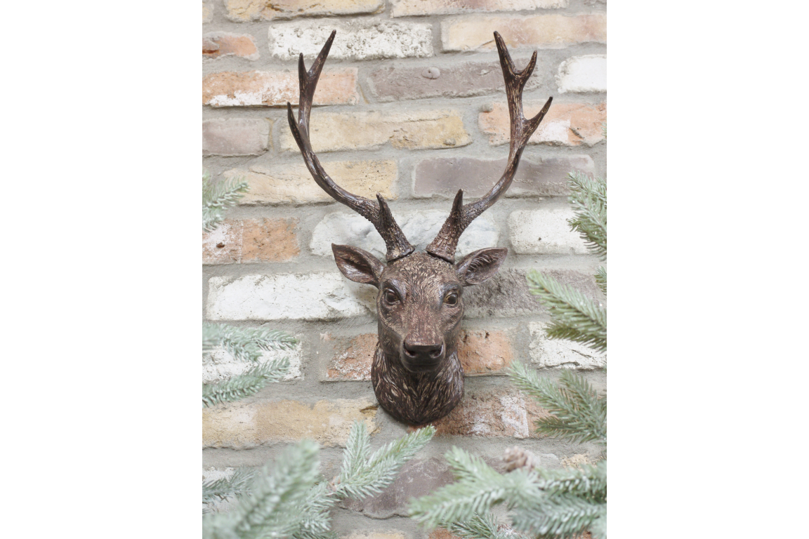 Stag Head