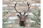 Stag Head