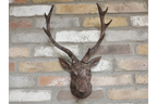Stag Head