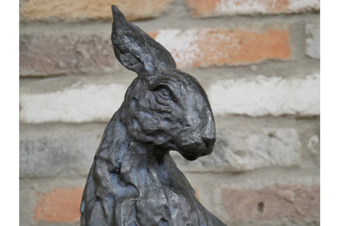 Hare