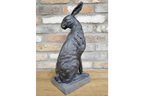 Hare