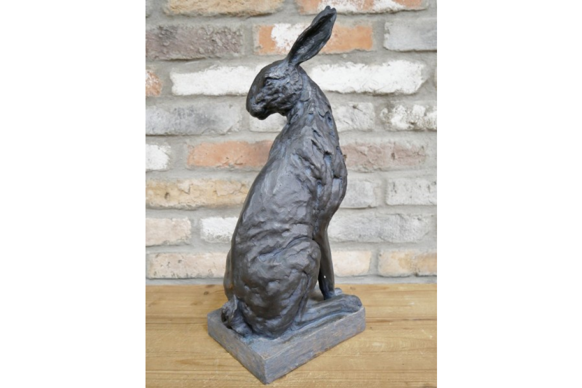 Hare
