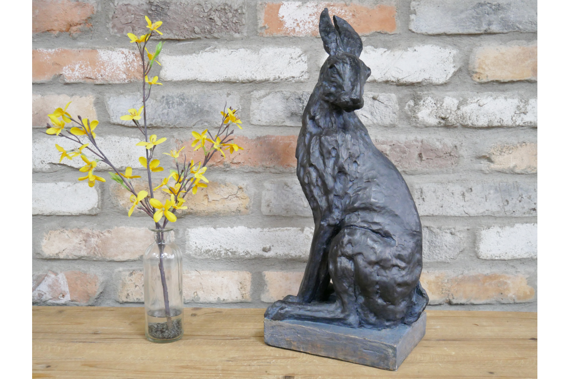 Hare