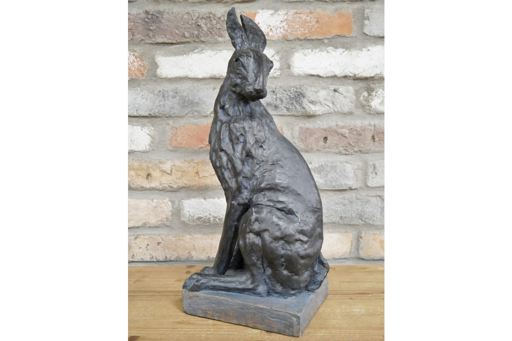 Hare