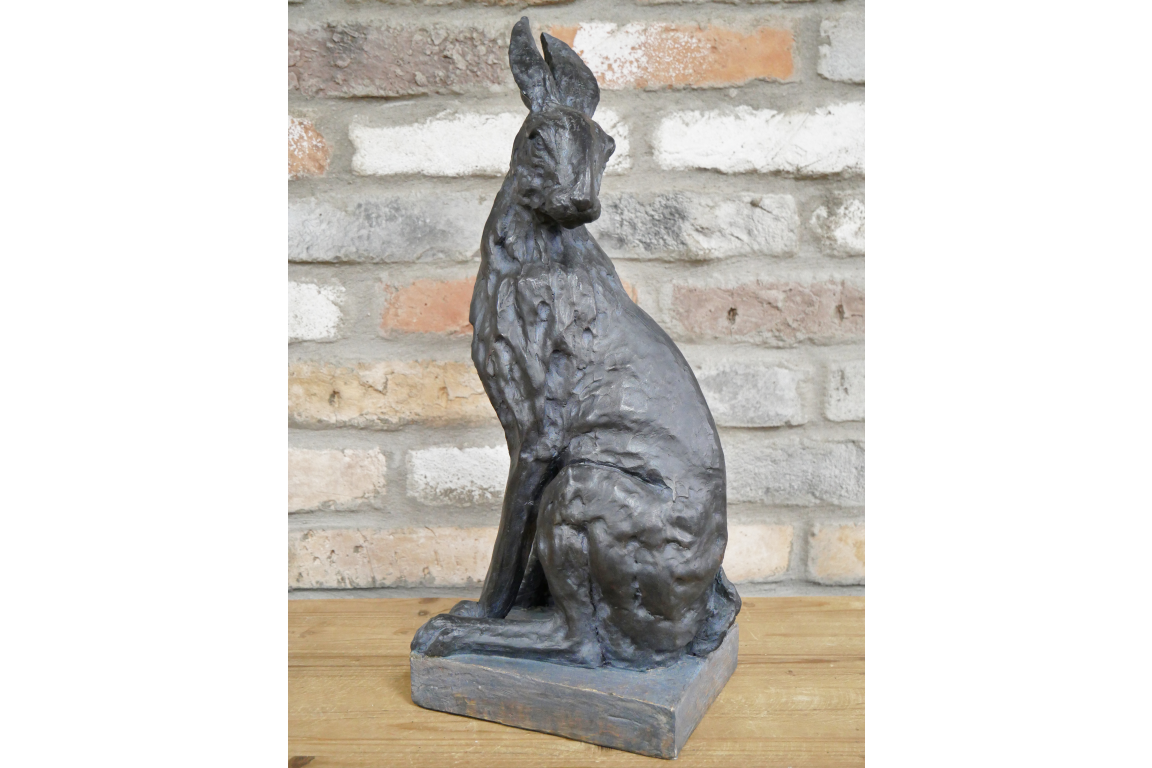 Hare