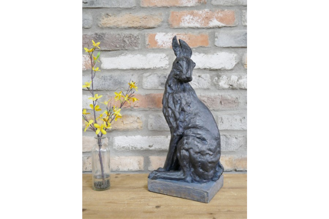 Hare