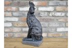 Hare