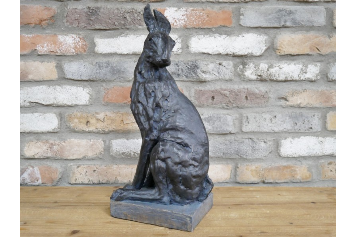 Hare